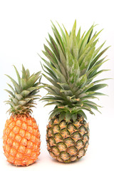 Pineapple, green and yellow