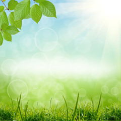 Obraz premium green natute background