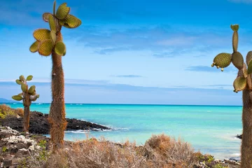 Fotobehang Galapagos sea view © Maurizio De Mattei