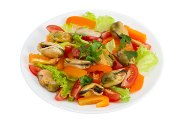 seafood salad on the plate on white background