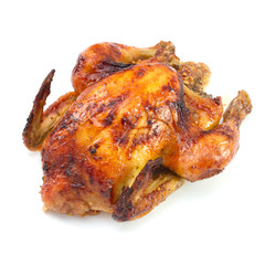 chicken on white background