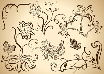 Floral vintage vector design elements