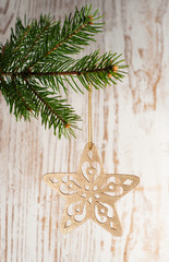 Christmas star