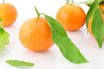 tangerines, clementines