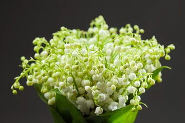 Garden poster Lily of the valley Lily of the Valley bouquet