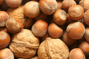 Hazelnuts and walnuts