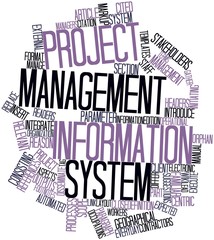 Word cloud for Project management information system © intheskies