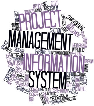 Word cloud for Project management information system
