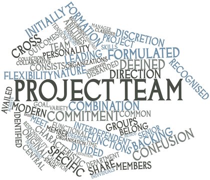 Word cloud for Project team