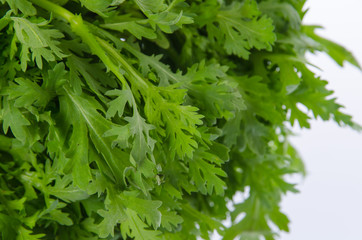 Garland chrysanthemum