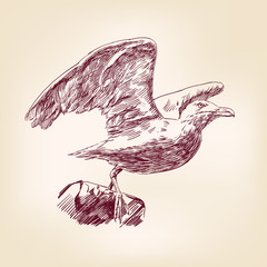 Naklejka premium seagull hand drawn