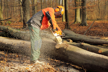 Forstarbeiter