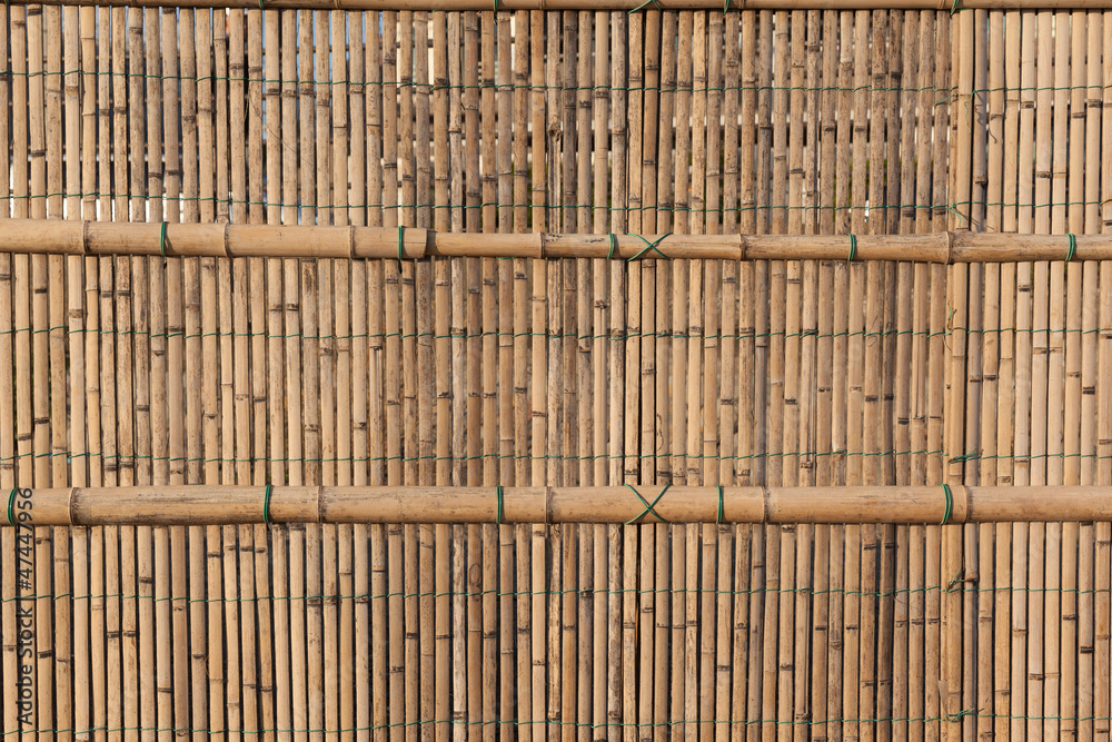 Wall mural bamboo fence in japan