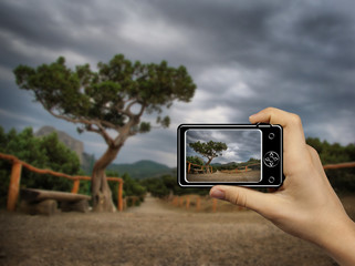 Tourist Holds Up Abstract Camera at mountain landscape