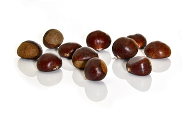 marroni riflesso