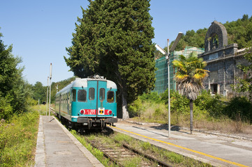 Naklejka premium Diesel train
