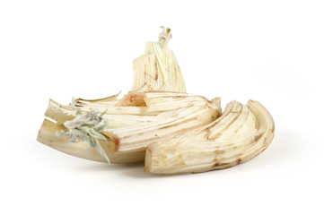 Cardo gobbo gruppissimo