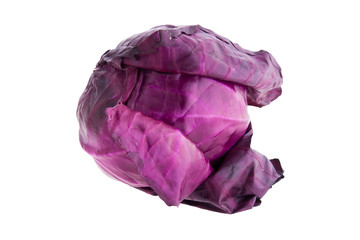 Obraz premium Red cabbage isolated on white