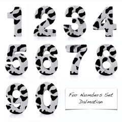 HQ Animal Fur Numbers - Dalmatian