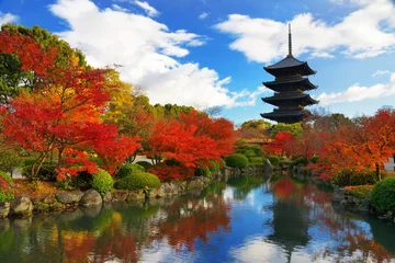 Fotobehang Toji-pagode in Kyoto, Japan © SeanPavonePhoto