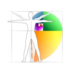 Fototapeta premium leonardo20512b