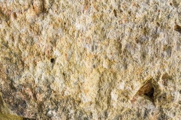 Old rock closeup under bright sunlight