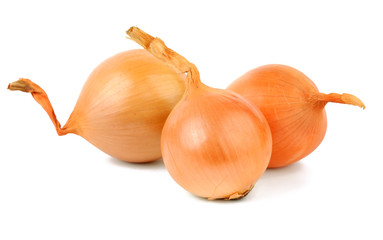 Onion