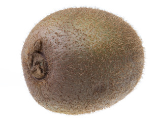 kiwi fruit on a white background