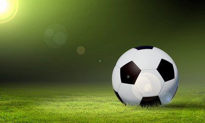 Fototapeta premium black and white soccer ball