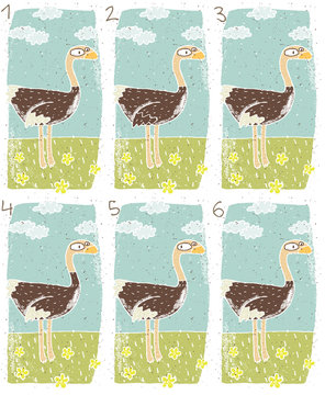 Ostrich Puzzle ... match the pair ... Answer: No. 1 and 6
