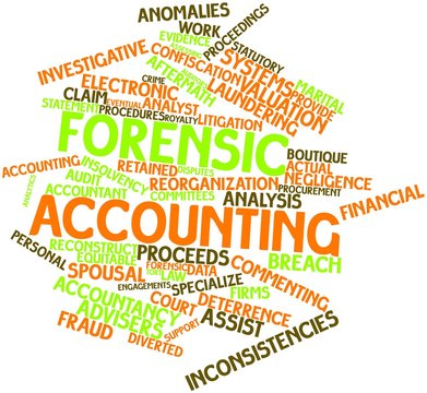 Word Cloud For Forensic Accounting