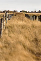 Obraz premium Farm Trail and Fence