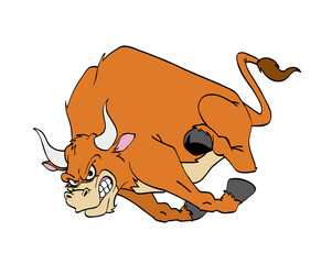 Bull Charging