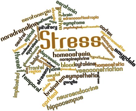 Word cloud for Stress