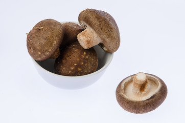 Fresh mushroom champignon