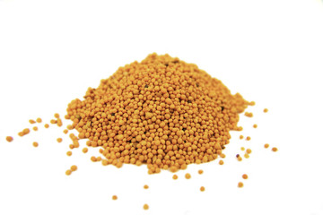 Mustard Seeds
