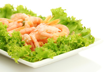 Boiled shrimps with lettuce leaves on plate, isolated on white