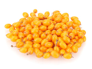 sea buckthorn isolated on white