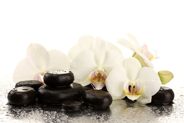 Spa stones and orchid flowers, isolated on white.