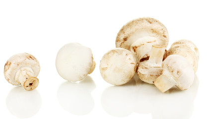 Fresh mushrooms isolated on white