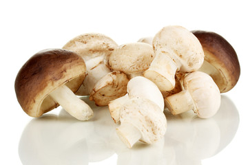 Fresh mushrooms isolated on white
