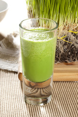 Green Organic Wheat Grass Shot