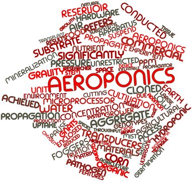 Word Cloud For Aeroponics