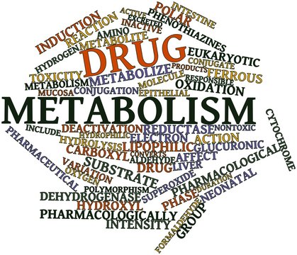 Word cloud for Drug metabolism