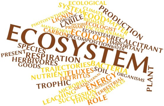 Word cloud for Ecosystem