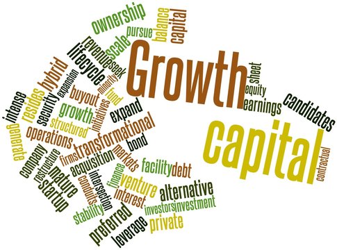 Word cloud for Growth capital