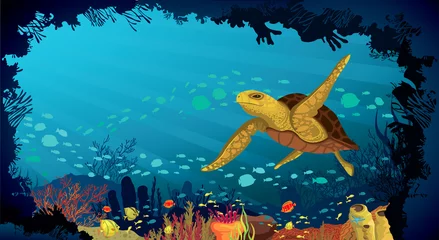Meubelstickers Onderwaterleven - Koraalrif met schildpad en vissen © Natali Snailcat