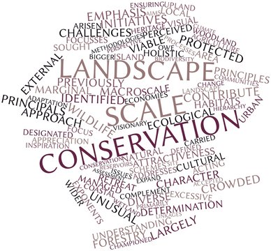 Word cloud for Landscape scale conservation