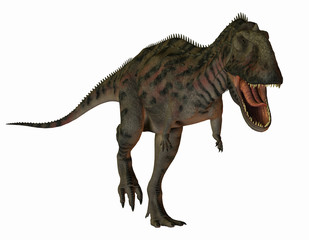 Fototapeta premium Dinosaurier Majungasaurus
