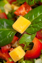 Light salad with cheese, parsley and spices